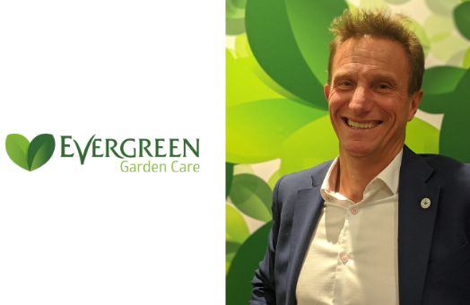 In the garden with… Mark Portman, Evergreen